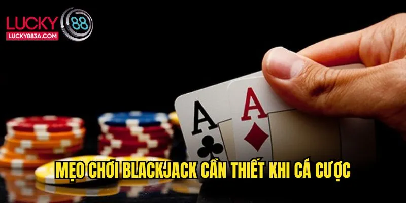 Mẹo chơi blackjack cần thiết khi cá cược